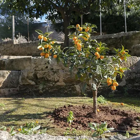 Lu Sule By Interhome Apartamento